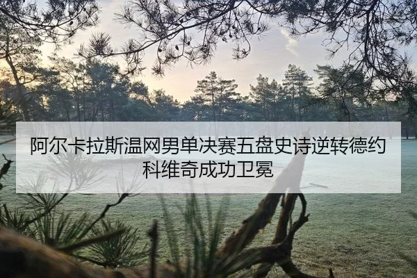 阿尔卡拉斯温网男单决赛五盘史诗逆转德约科维奇成功卫冕